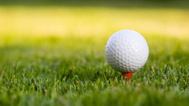 Best Golf Courses in Arlington, TX